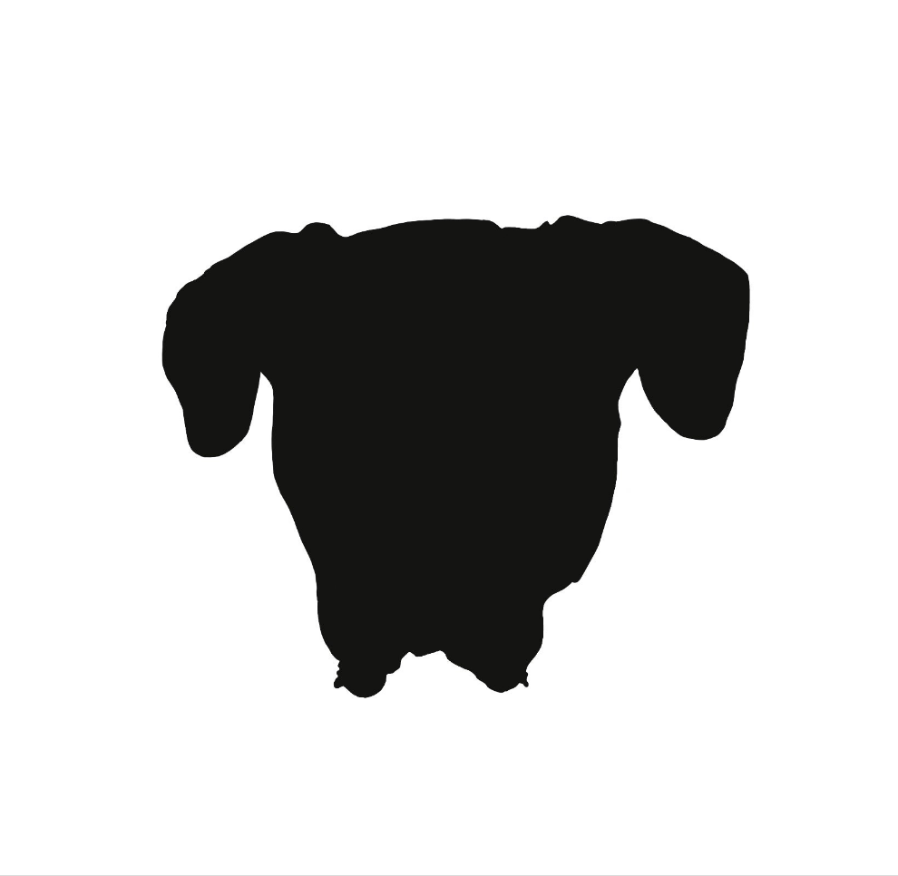 Silhouette