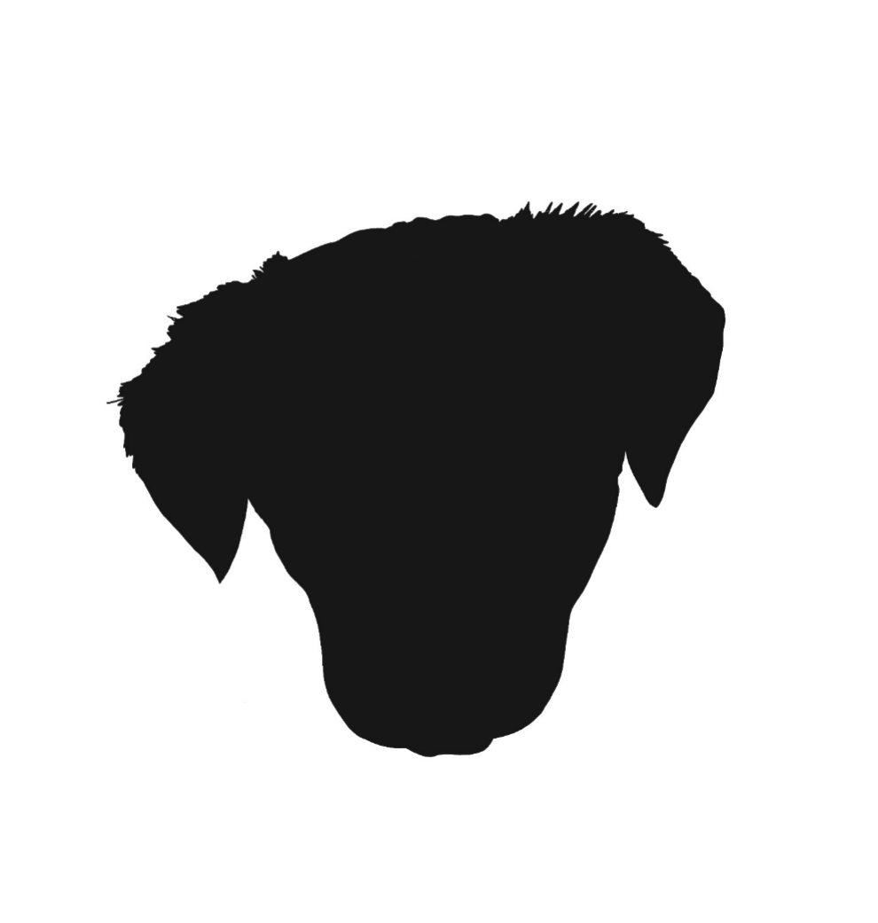 shadow drawing