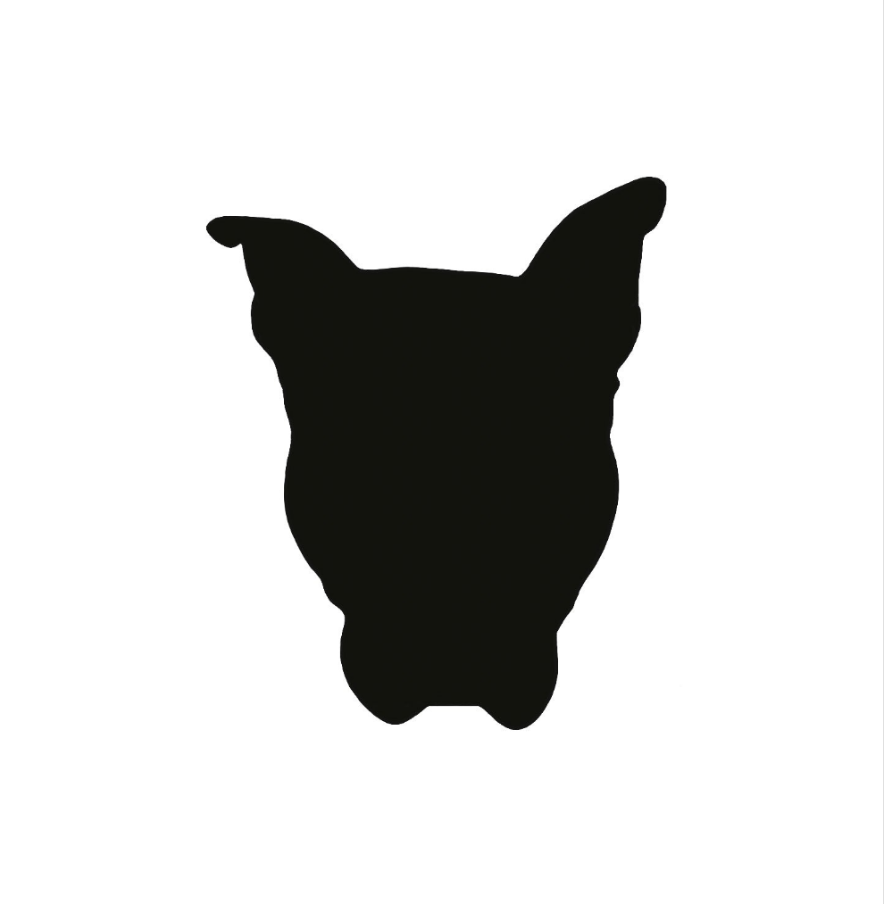 shadow drawing