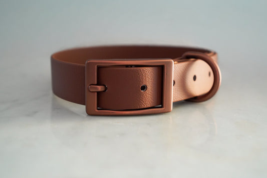 Halsband