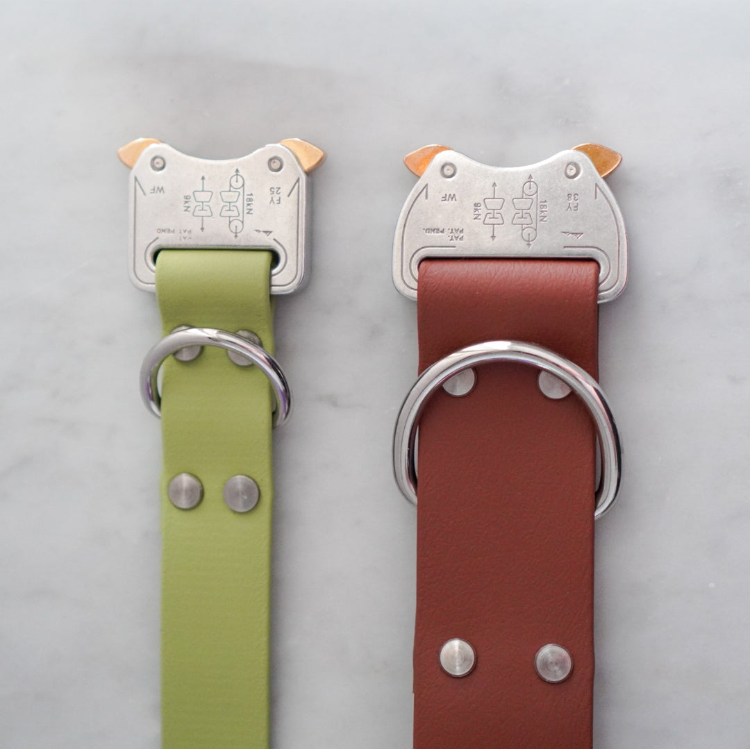 Biothane Halsband 25mm verstellbar