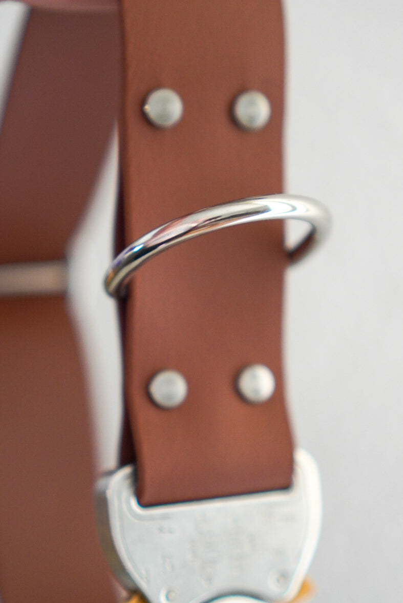 Biothane Halsband 38mm verstellbar