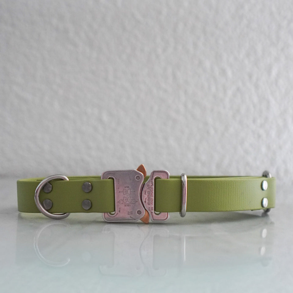 Biothane Halsband 25mm verstellbar