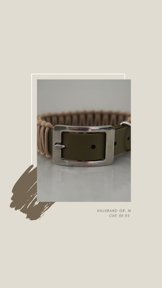 Sofortkauf Halsband Paracord