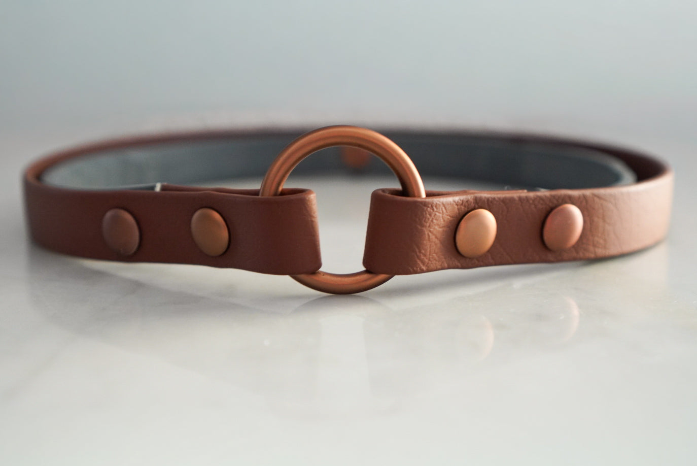 Zeckenhalsband-Cover aus Biothane