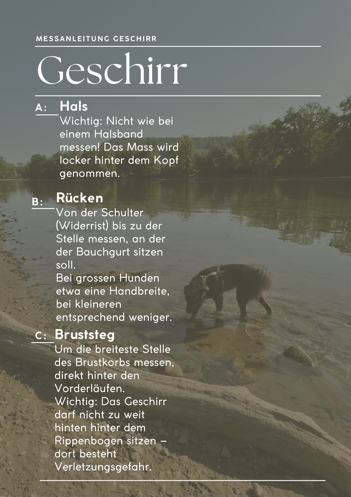 Biothane Geschirr 38mm verstellbar