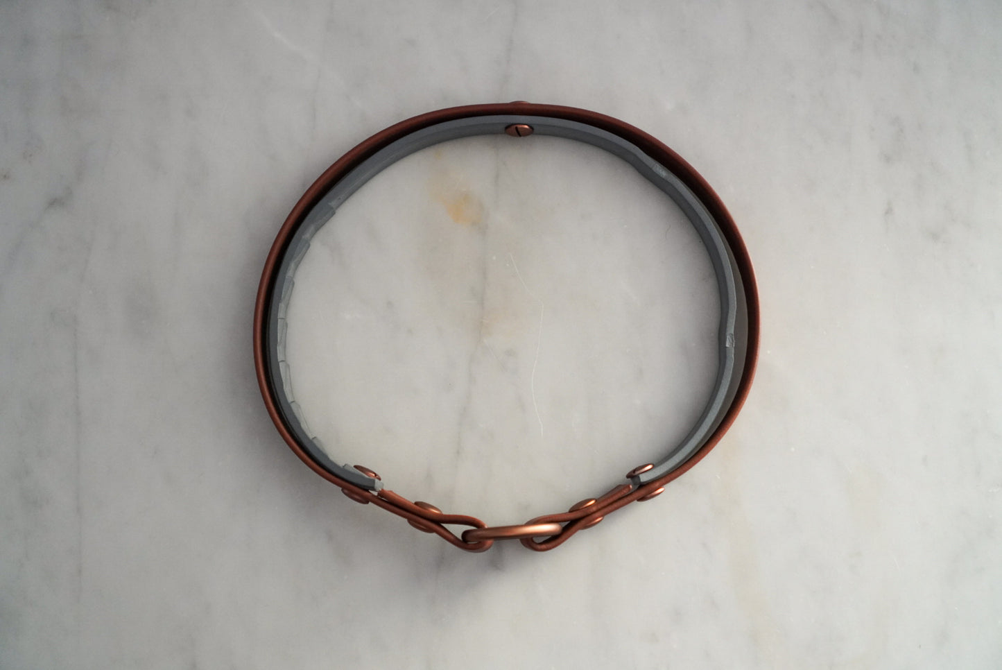 Zeckenhalsband-Cover aus Biothane